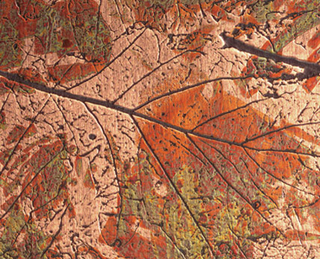 Kupfer Relief HERBSTLAUB