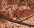 Kupfer Relief HERBSTLAUB