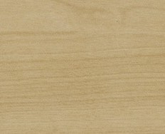 Birke Natur / Dekorspanplatte Holz