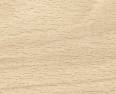 Buche Tirol Naturhell / Dekorspanplatte Holz