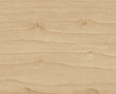 Feldahorn / Dekorspanplatte Holz