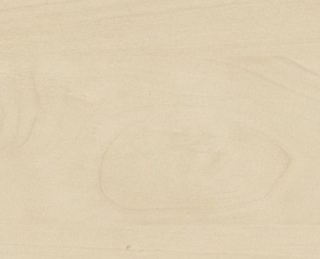 Mainau Birke / Dekorspanplatte Holz