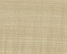 Ahorn Honig / Dekorspanplatte Holz