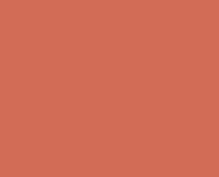 RAL 3022 Lachsrot / Sicherheitsglas