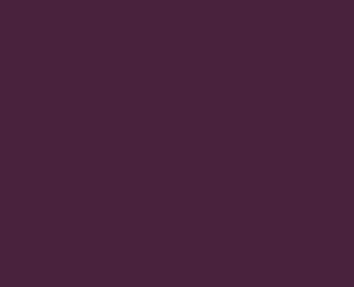 RAL 4007 Purpurviolett / Sicherheitsglas