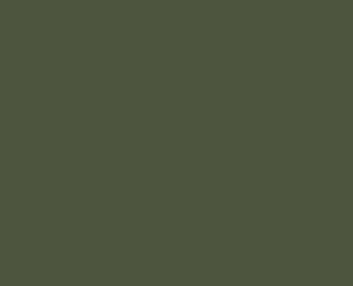 RAL 6003 Olivgrn / Sicherheitsglas