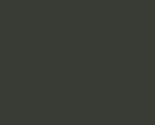 RAL 6015 Schwarzoliv / Sicherheitsglas