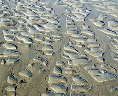 Strand / Fotographie