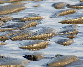 Strand und Meer / Fotographie