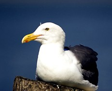 Mwe / Fotographie